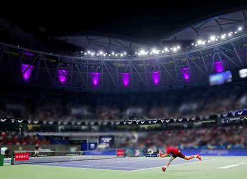 安国市体育比赛